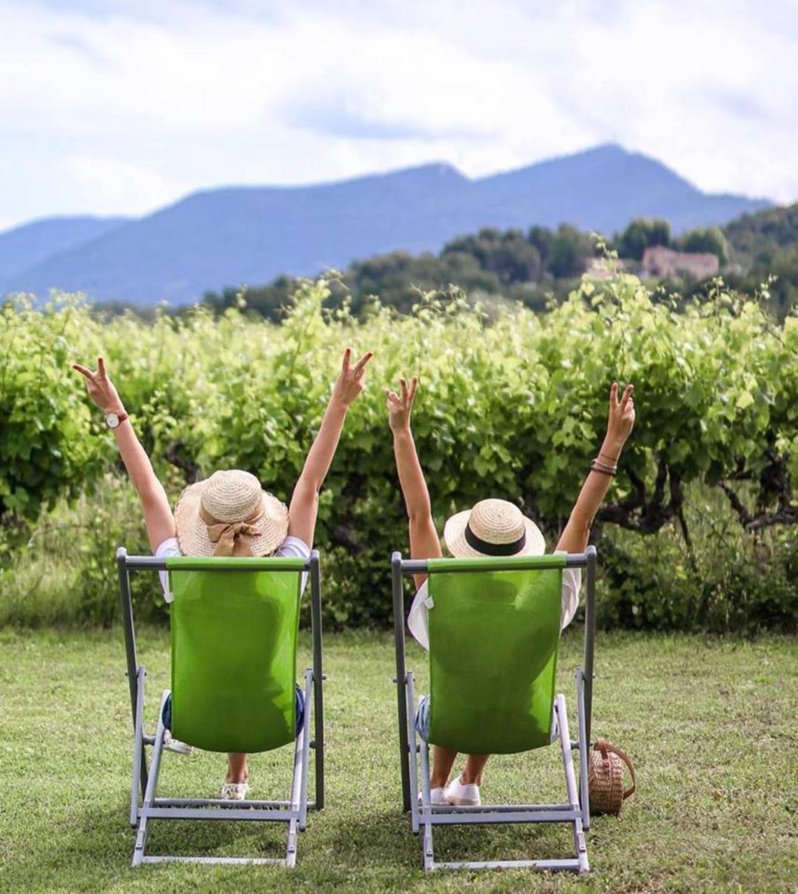 Domaine Des Bridoux Village De Gites Mirabel-aux-Baronnies المظهر الخارجي الصورة